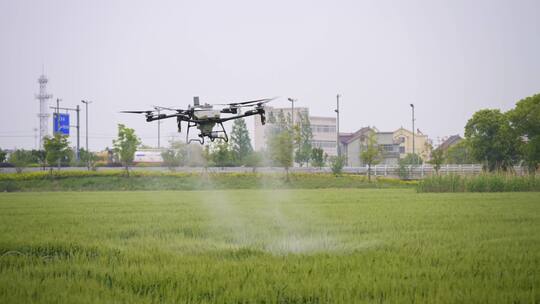 【合集】无人机在绿色麦田中喷洒农药