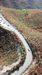 山间秋景公路航拍画面