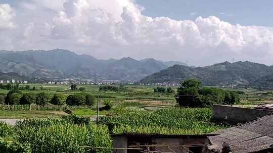 农村大自然风景