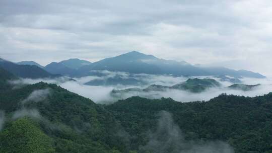 杭州临安天目山云雾仙境航拍视频素材模板下载