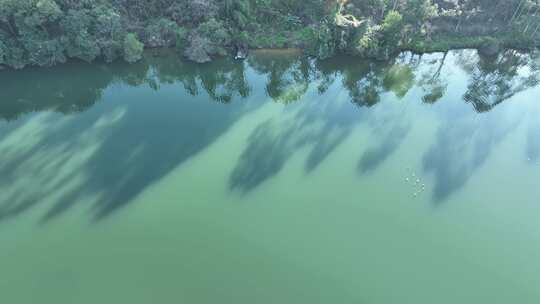 俯拍河面飞鸟河流绿色河水自然生态环境风景
