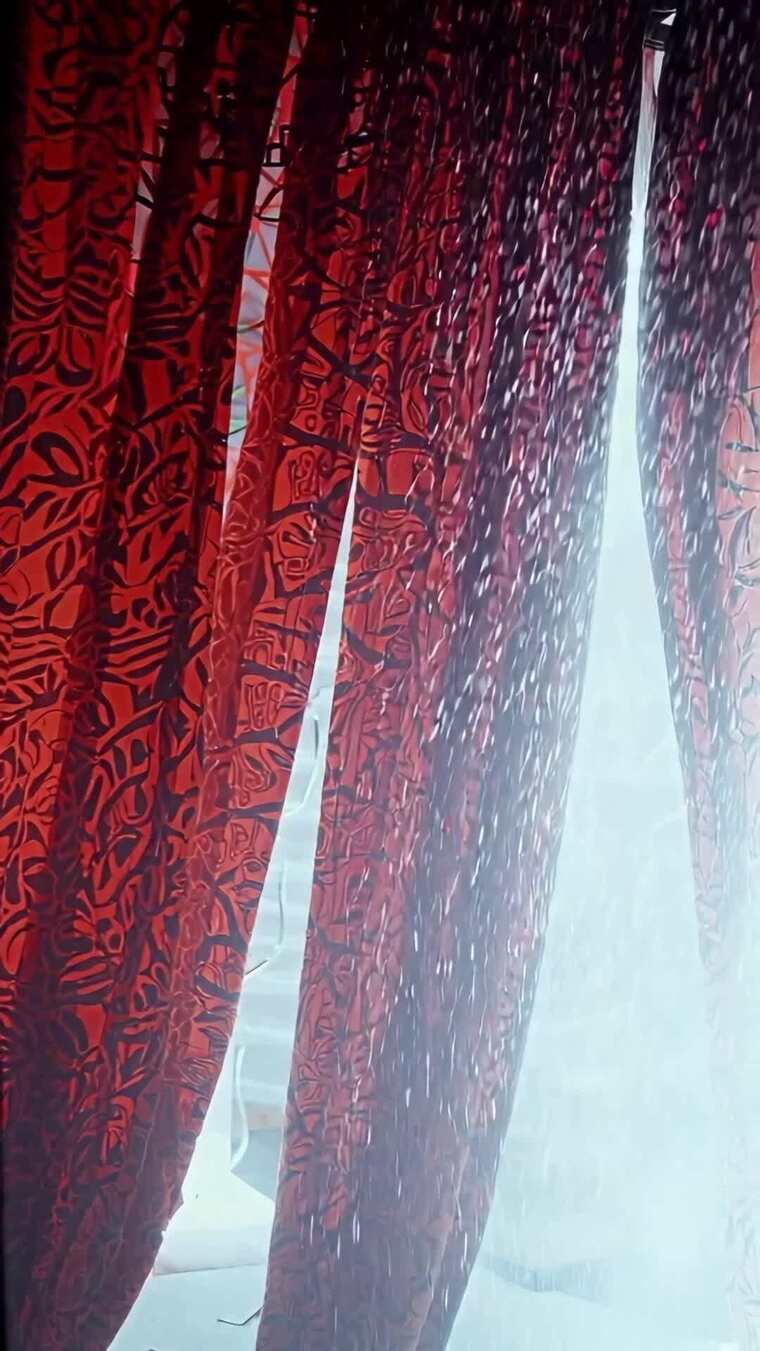 红色花纹窗帘特写