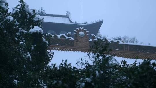 杭州西湖净慈寺禅院冬天雪景4K视频合集