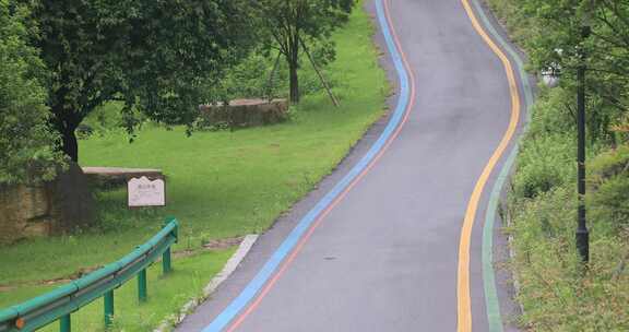 生态山庄森林竹海竹林宁静的步道