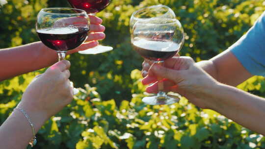 一群朋友在葡萄园的背景下用红酒碰杯。葡萄酒之旅和视频素材模板下载