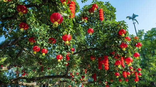 春节红灯笼祈福许愿树