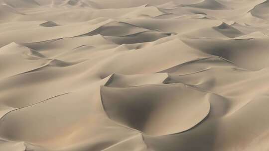 航拍新疆塔克拉玛干沙漠的金色沙丘