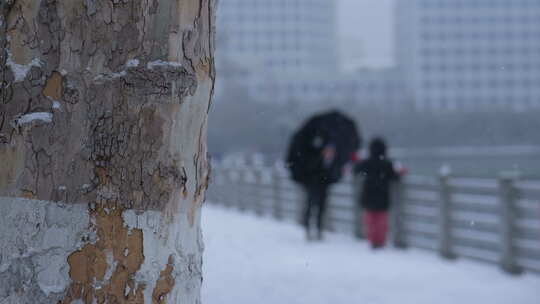 武汉江汉区菱角湖公园雪景