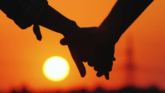 年轻夫妇手牵着手站在大落日的背景上