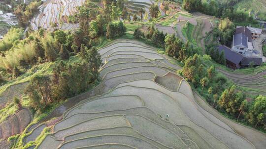 湖南娄底新化紫鹊界梯田航拍