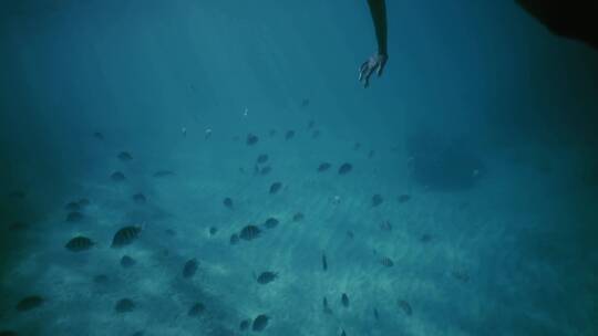 女人在海里浮潜