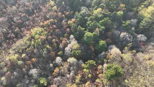 辽阳龙石景区山林秋季风光