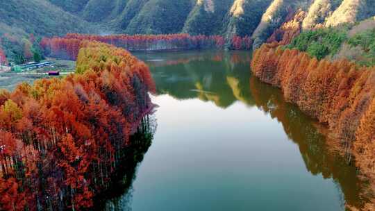 汉中南郑区龙池湖红叶秋景