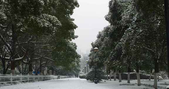 下雪天的街道