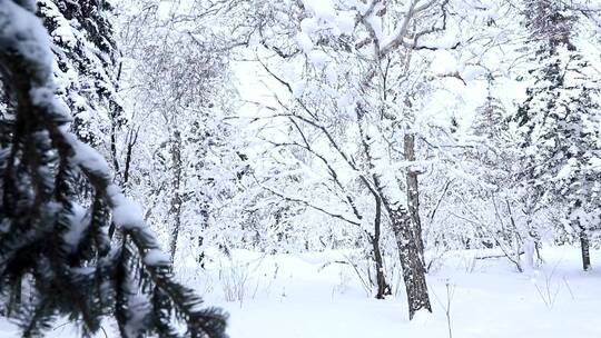 雪地大雪