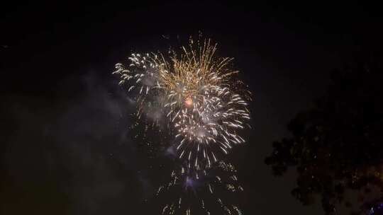 夜空中璀璨绽放的美丽烟花