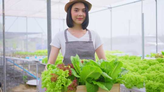 水培温室农场中，亚洲农民女孩提着一盒蔬菜