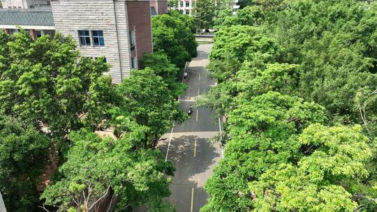 学校道路俯拍校园航拍学生上课上学校园风光