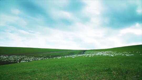 航拍草原峡谷蓝天白云牛群羊群自然风景视频素材模板下载