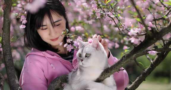 美女抱着宠物猫 春日踏青赏花