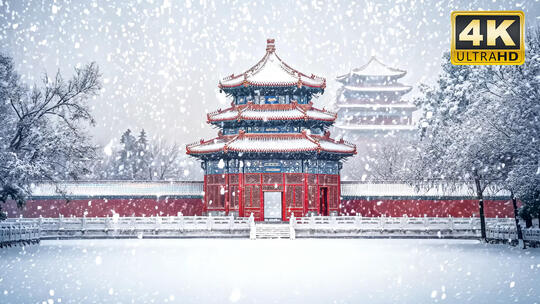 北京雪景故宫雪景大暴雪唯美雪景视频素材6