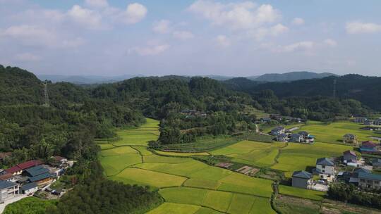 航拍乡村田园农业种植农田