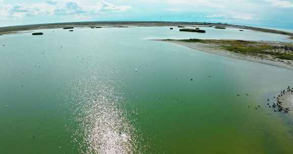 乌伦古湖候鸟湿地