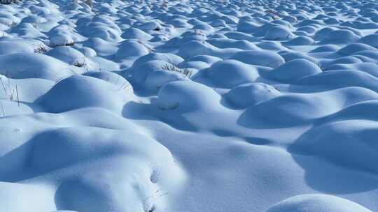 寒冬湿地草甸雪包雪景