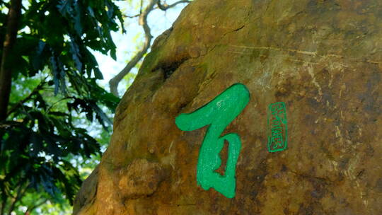 南宁金花茶公园茶文化雕塑视频素材模板下载