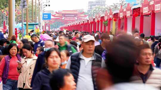 2025佛山顺德陈村迎春花市人流延时