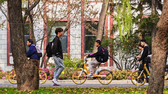 大学生在校园行走骑单车上下课
