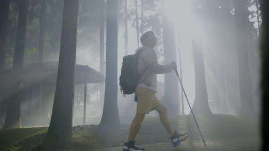 穿越森林 登山 旅游 盘山公路 原始森林