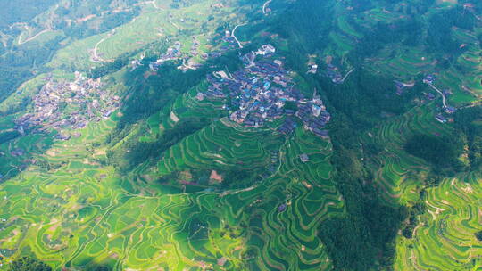 高空航拍云贵川梯田延时