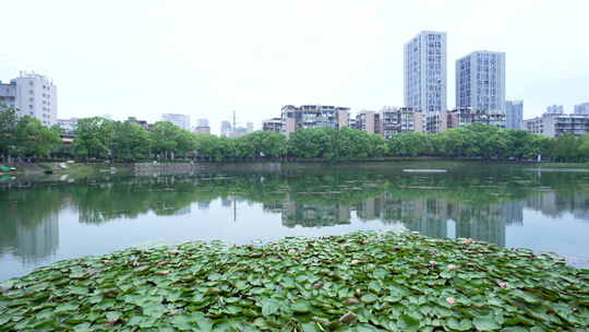 武汉江岸区宝岛公园