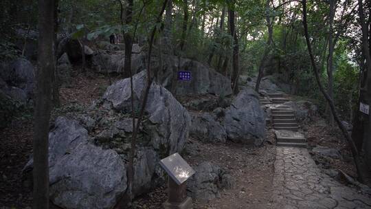 杭州灵隐寺飞来峰顶