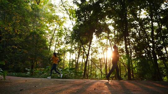 森林中晨跑运动跑步，夕阳下行走视频素材视频素材模板下载