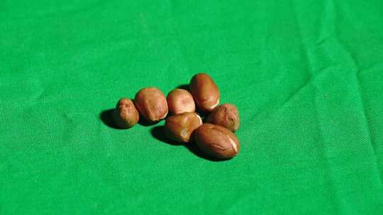 花生 花生米 农作物 农产品 宣传片 广告片