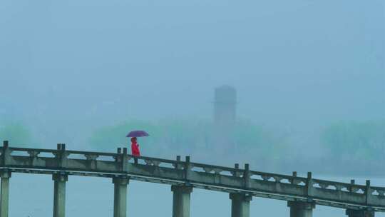 杭州萧山湘湖景区春天春雨