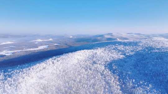 大兴安岭林海雪原冬季雾凇250113 (14)