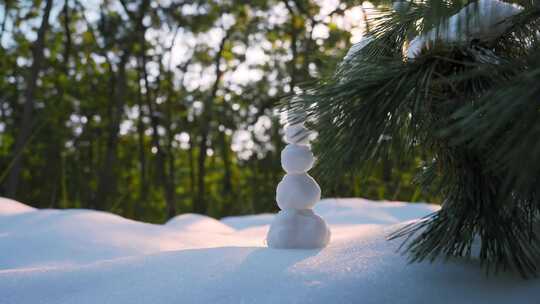 雪地下雪雪天森林松林盖雪