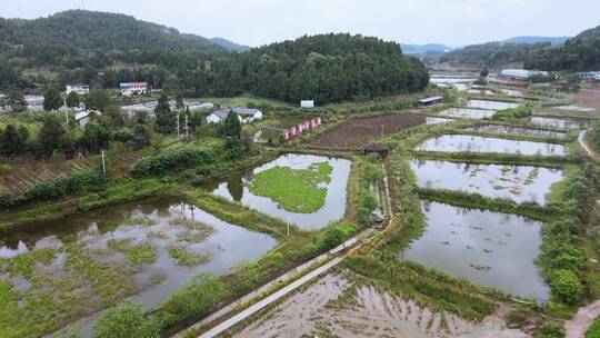 4k航拍全国文明村 龙虾精养基地 乡村振兴