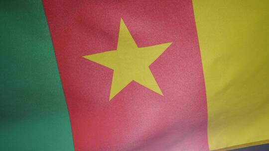 飘扬的喀麦隆国旗特写