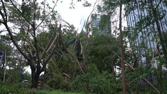 山竹 台风 台风山竹 中国沿海 沿海城市