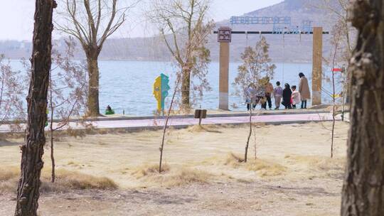 冬季湖边玩耍的人们视频素材模板下载
