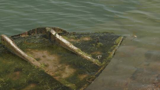 大海边布满苔藓的破旧小木船