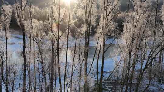 航拍雪原冰河冻雾树林朝阳