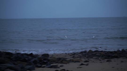 海边沙滩夜晚海边夜色海浪浪花拍打