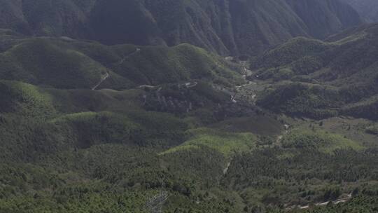 森林云海风光高山