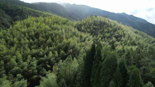 信宜钱排鹿湖顶航拍，高山，森林大山