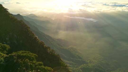 海南五指山热带雨林国家森林公园日出云海